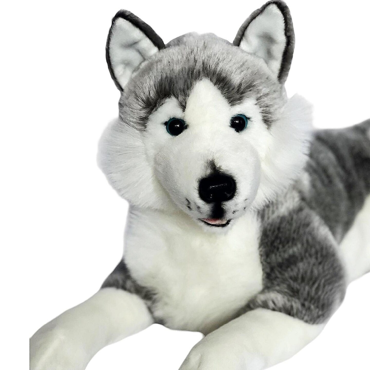 Introducing Blizzard: The Adorable 17-Inch Laying Husky Plushie with Blue Eyes and Long Fur