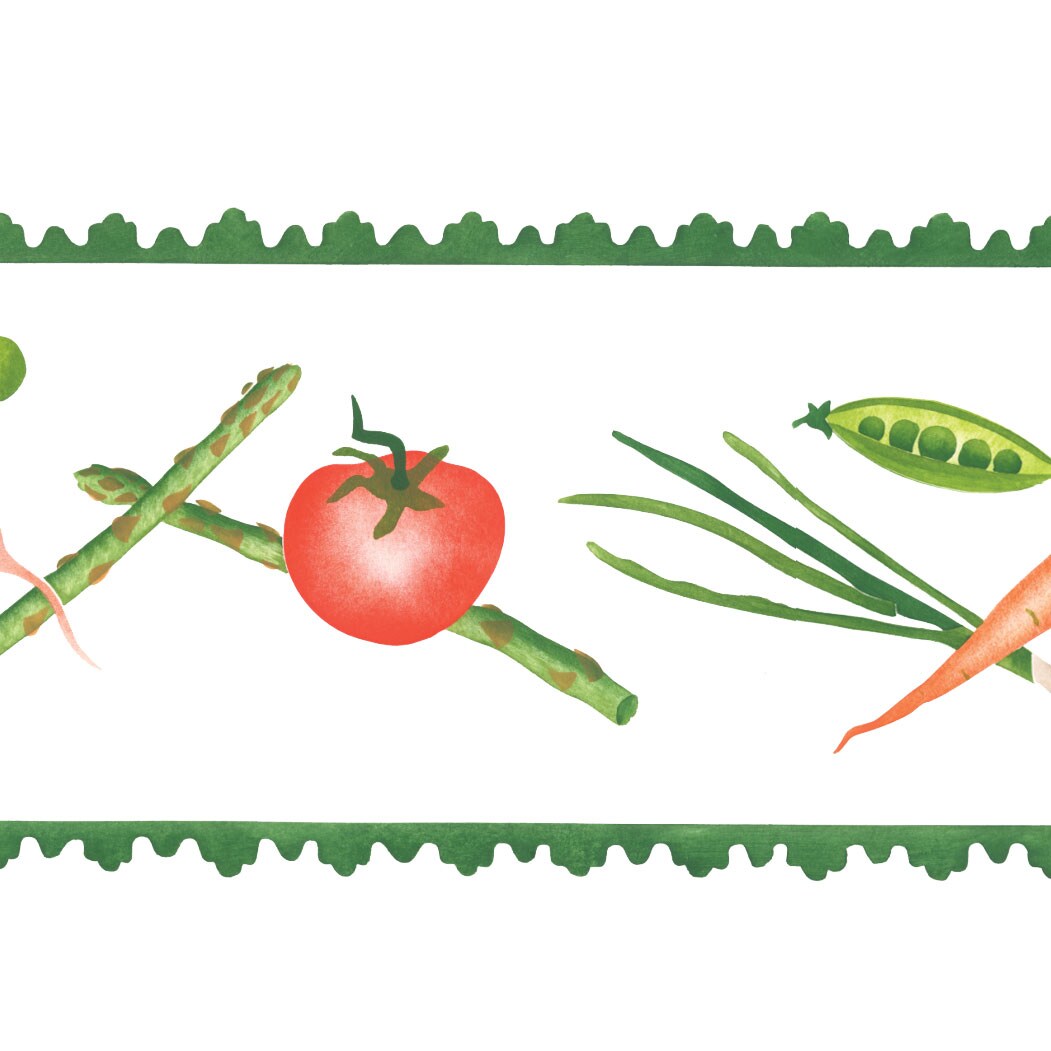 Vegetable Border Wall Stencil Border | 3312 by Designer Stencils | Pattern Stencils | Reusable Stencils for Painting | Safe & Reusable Template for Wall Decor | Try This Stencil Instead of a Wallpaper | Easy to Use & Clean Art Stencil Pattern