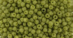 Toho 11/0 Round Japanese Seed Bead, #2601F, Semi-Glazed Iguana