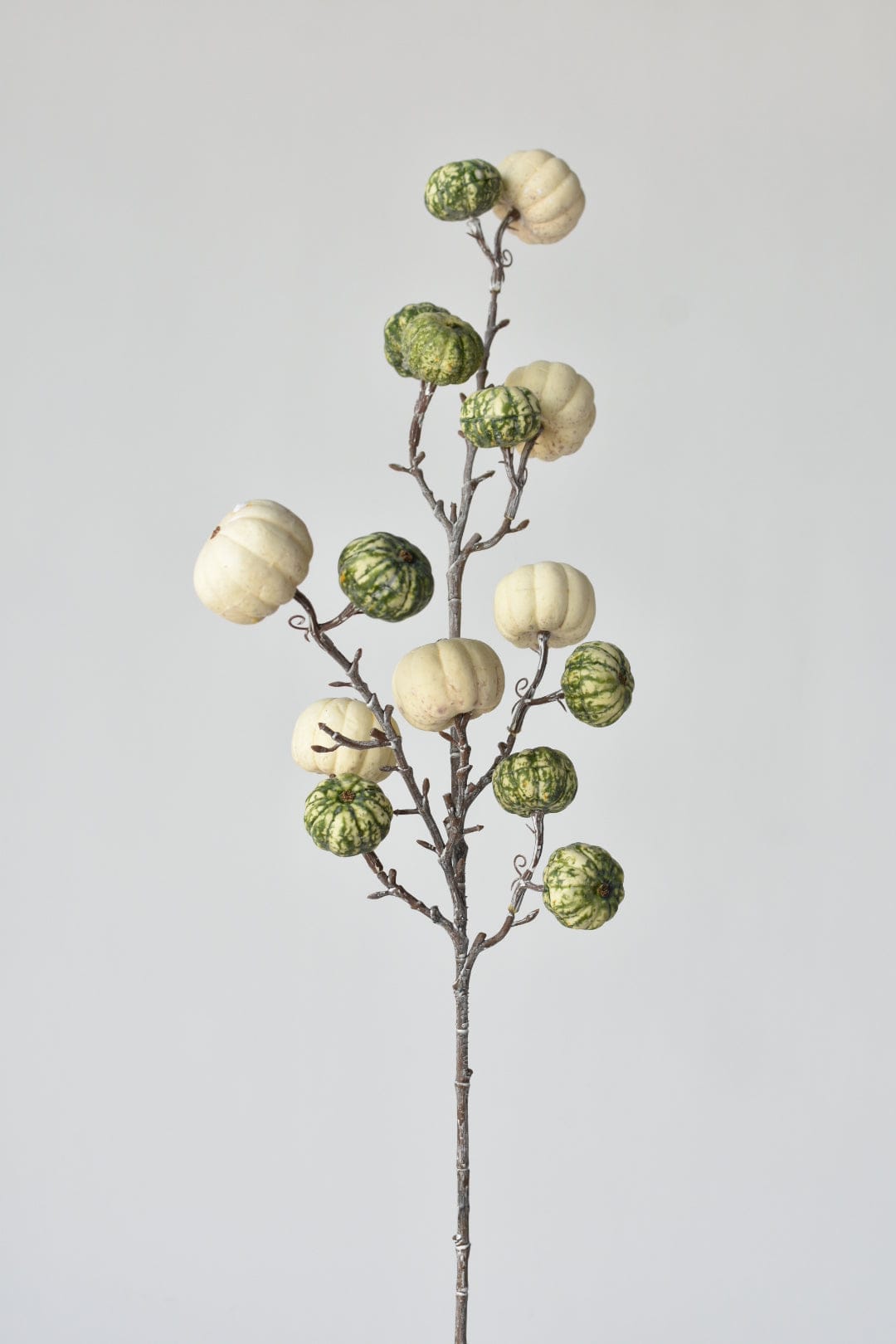 29&#x22; Faux White-Washed Pumpkins On A Branch: Cream + Green