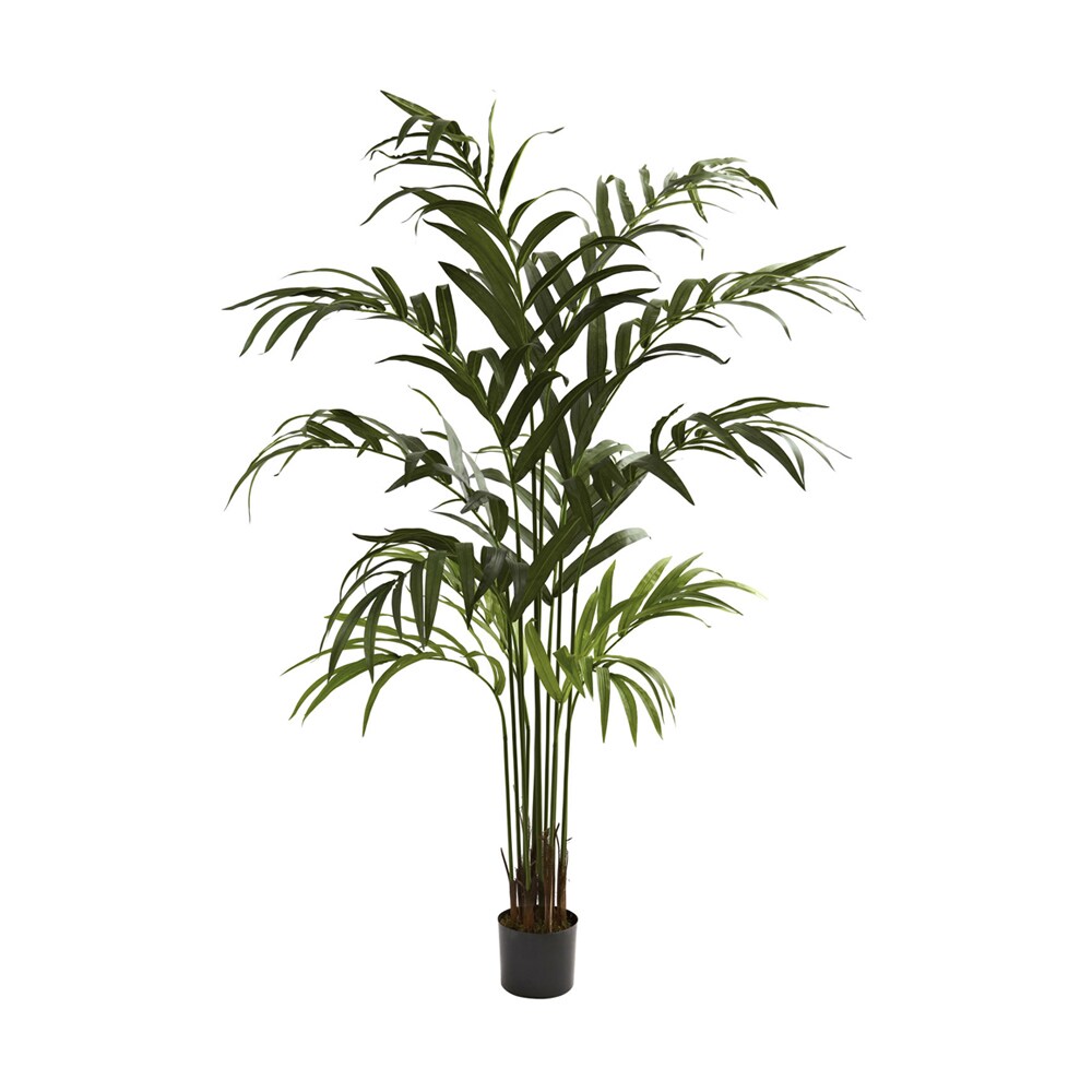 Nearly Natural   6 Kentia Palm Tree