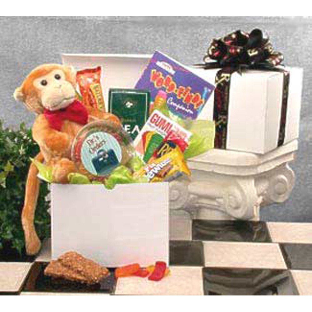 Gift Basket Drop Shipping Gift Basket  Hang In There Get Well care Package