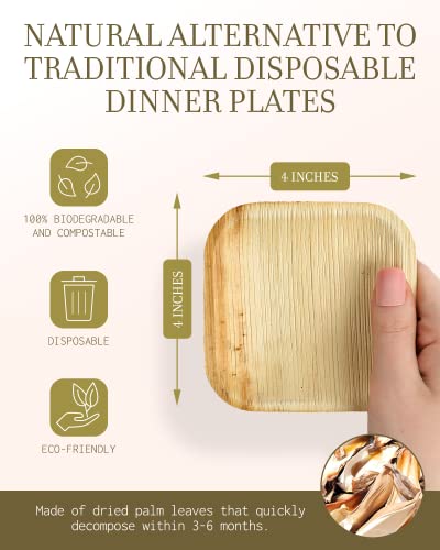 Bamboo Plates made from Palm Leaf - 25 Party Plates - 4 Inch - Eco Friendly Compostable & Biodegradable – Bamboo Disposable Plates Heavy Duty are More Environmentally Friendly than Paper Plates