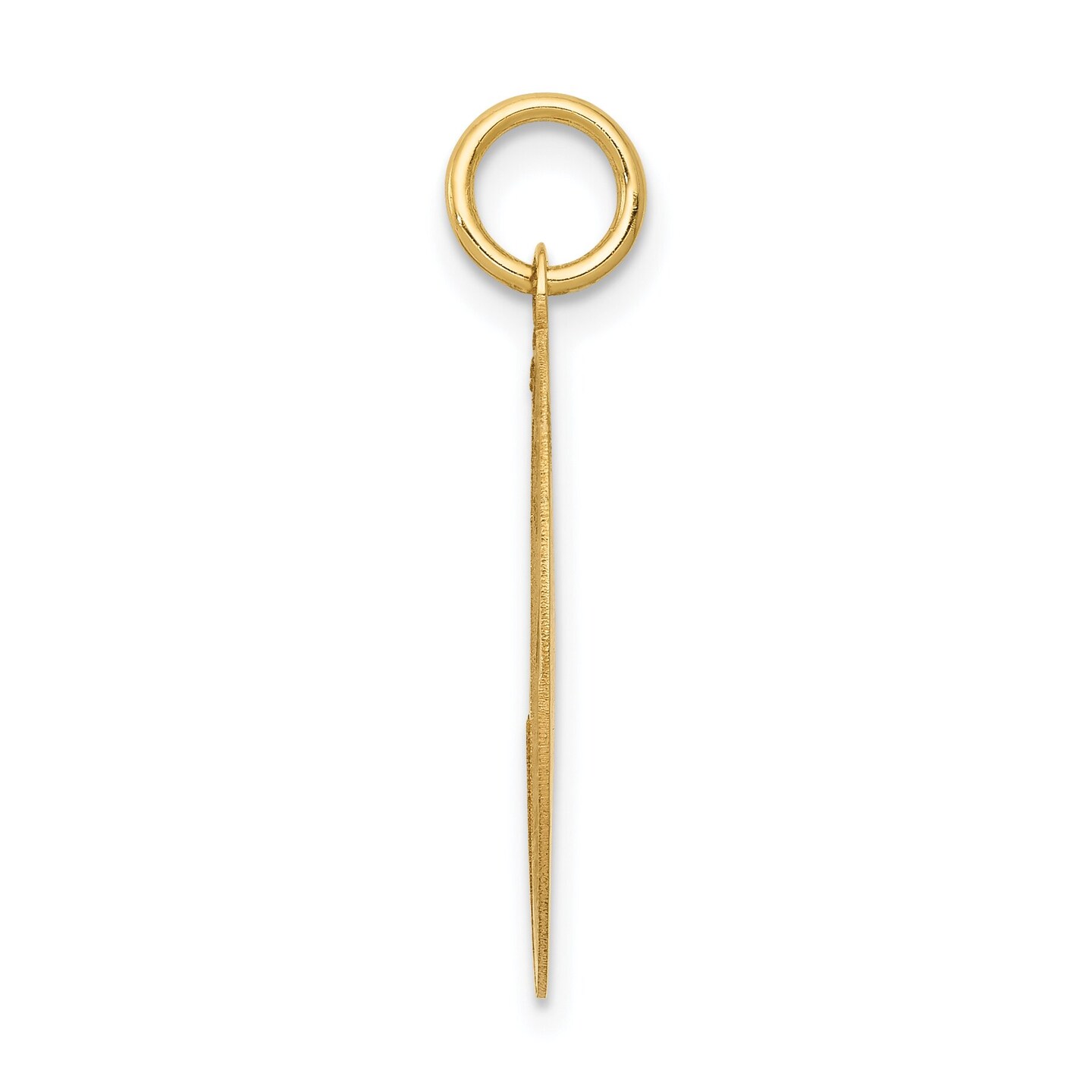 14K Yellow Gold Labrador Retriever Disc Charm Pendant Jewerly 26mm x 20mm