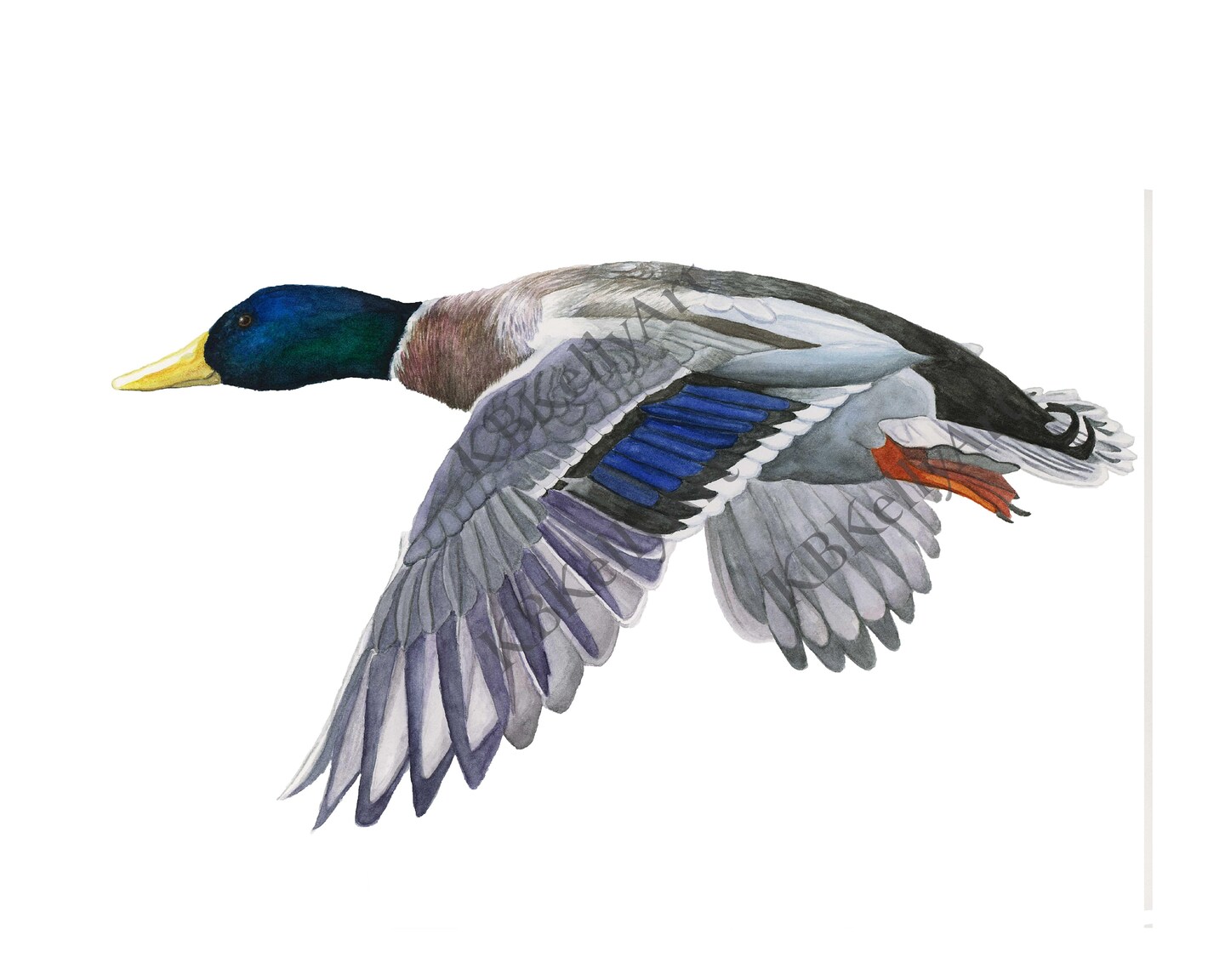 thumbnail image 2 of 97 Decor Mallard Duck Decor For Home - Vntage Duck Huntng Decor, Duck... 2 of 10