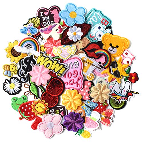 AXEN 60PCS Embroidered Iron On Patches DIY Accessories, Random Assorted  Decorative Patches, Cute Sewing Applique for Jackets, Hats, Backpacks,  Jeans
