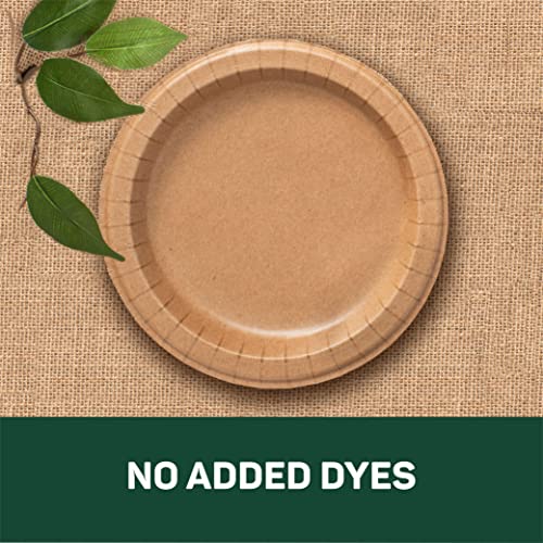 EcoSmart from The Makers of Dixie 100% Recycled Fiber Paper Plates, 8.5in Lunch or Light Dinner Size Disposable, 50 Eco-Friendly Plates