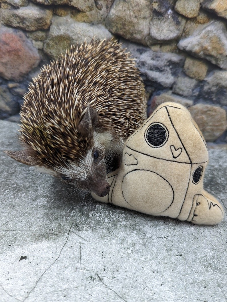 Imagination Rocketship for space Lovers Mint Stuffed Hedgehog Faux ...