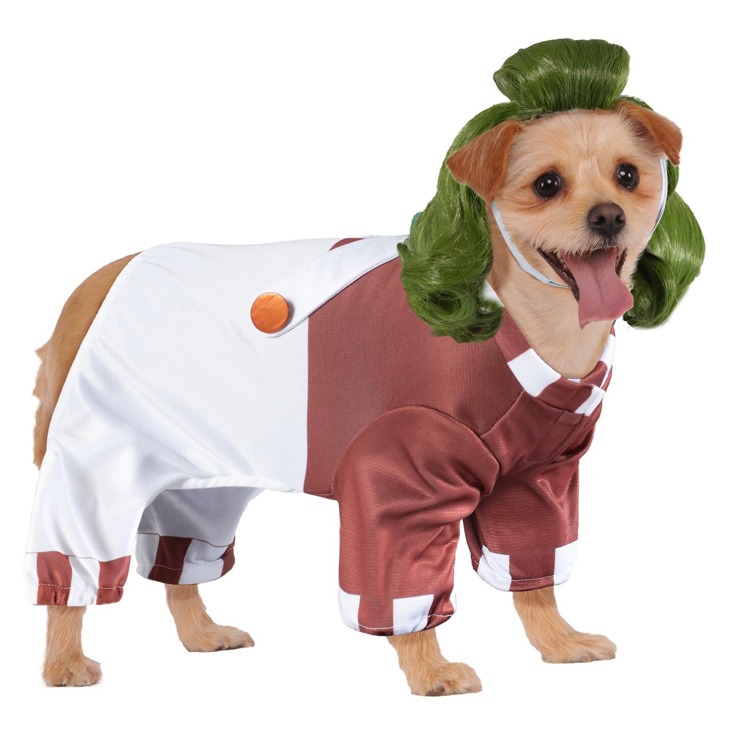 Willy Wonka Oompa Loompa Pet Costume