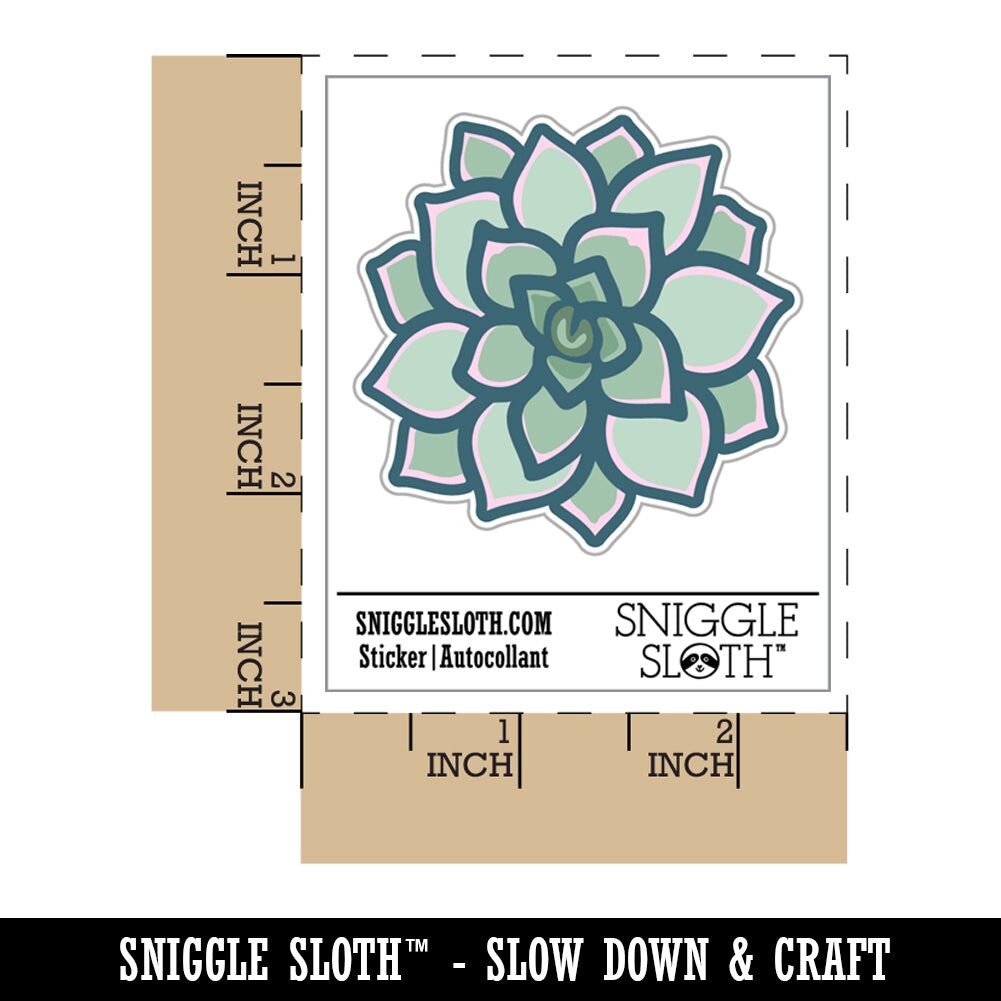 Succulent Plant Waterproof Vinyl Phone Tablet Laptop Water Bottle Sticker Set - 5 Pack
