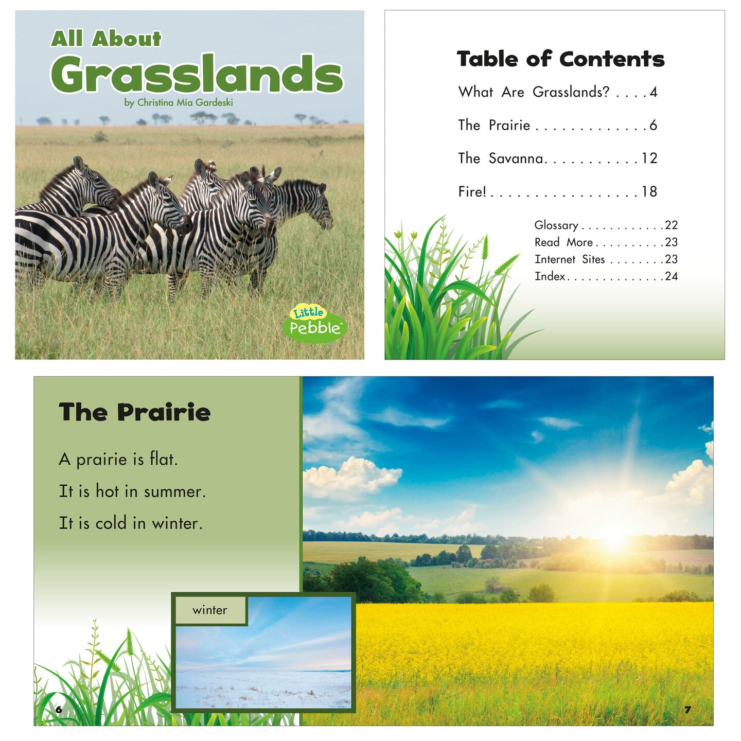 Habitats Book Set, Set of 8