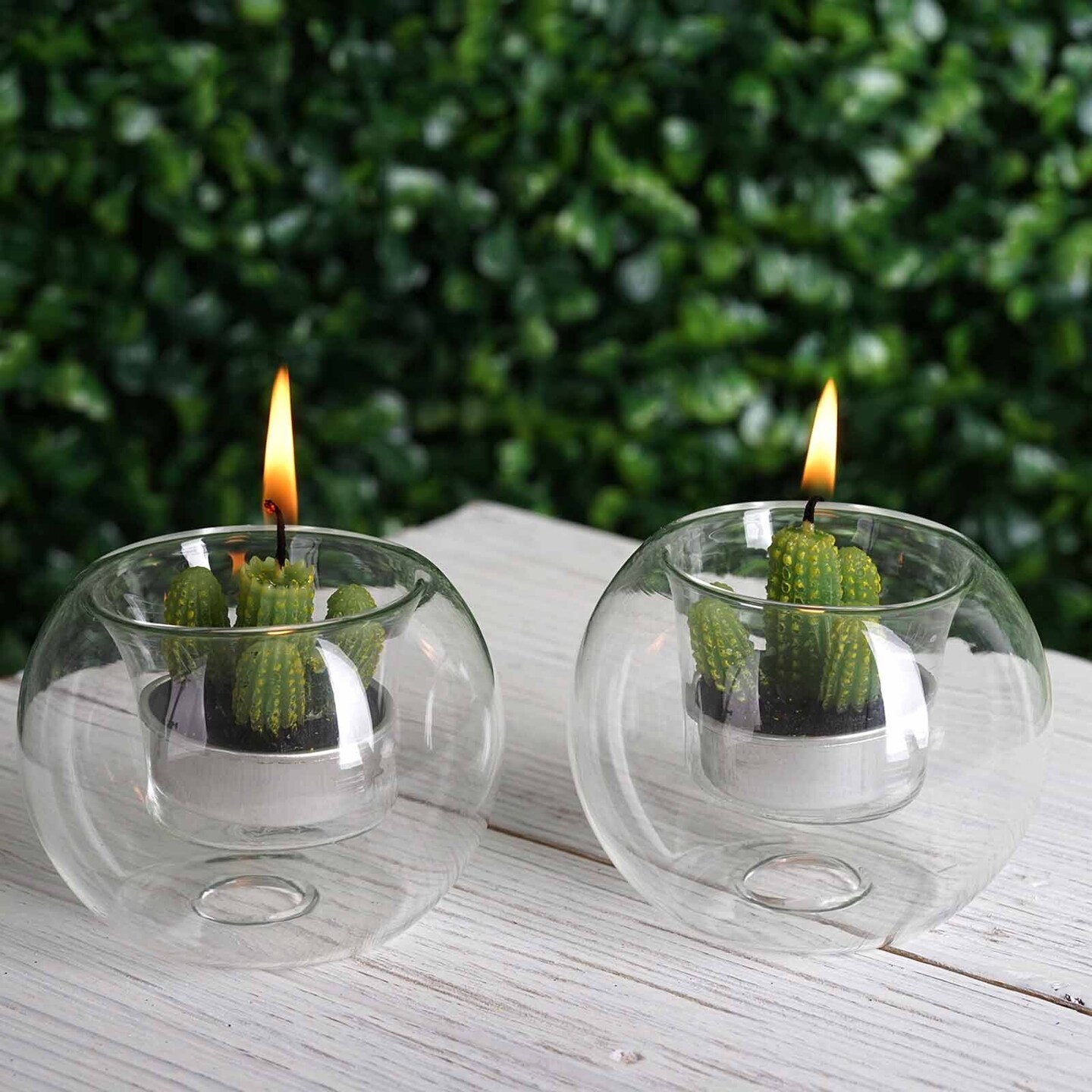 6 pcs Clear Glass Globe Votive Candle Holders