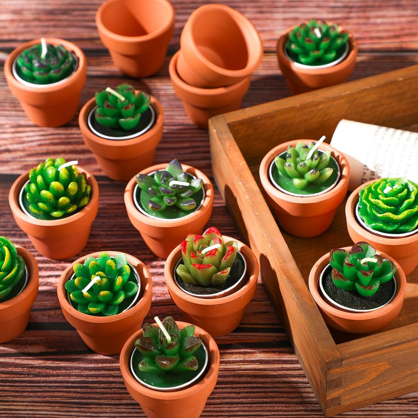 36-Pieces Succulent Tealight Candles