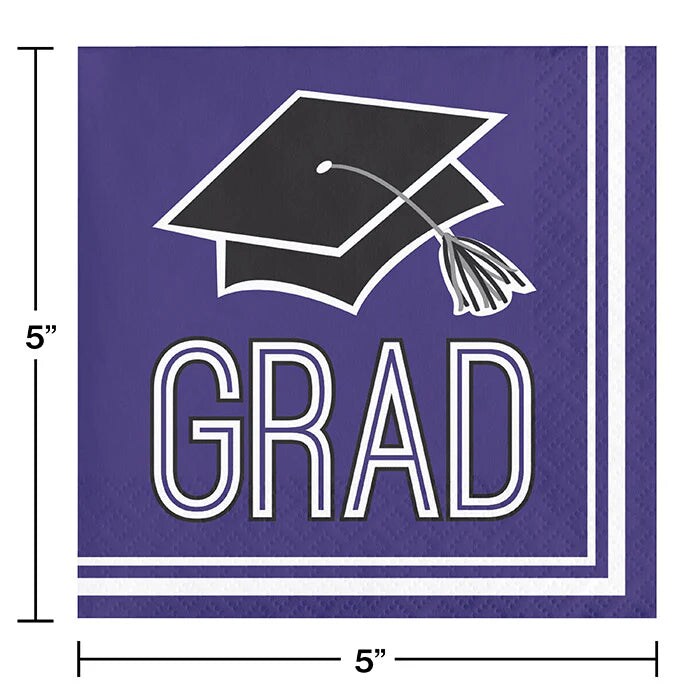 Purple Graduation Party Kit for 16 (182 Items)