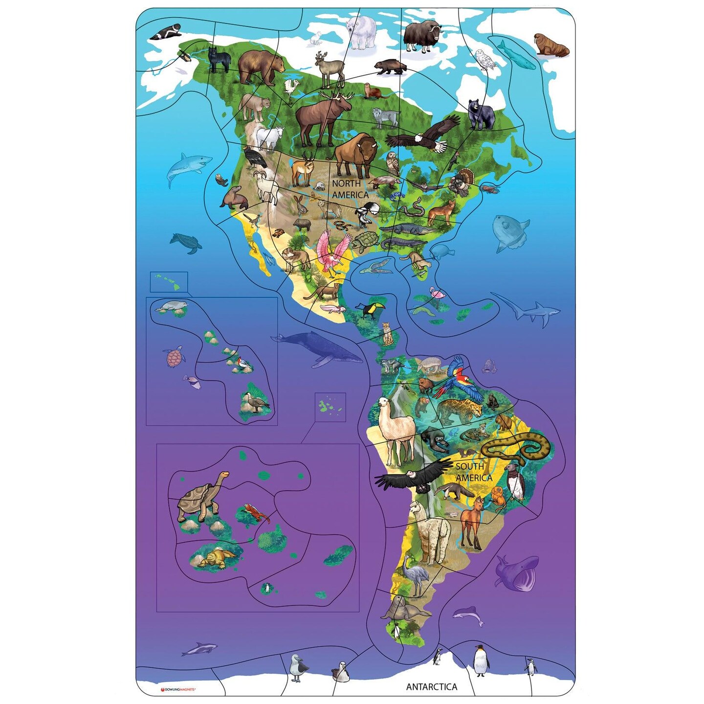 Animal Magnetism&#xAE; Magnetic Wildlife Map Puzzle: North &#x26; South America