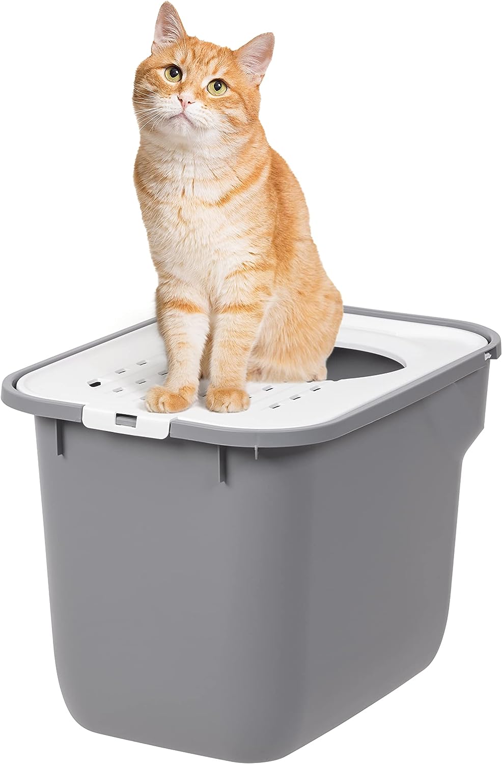 Cat litter boxes that keep litter in hotsell