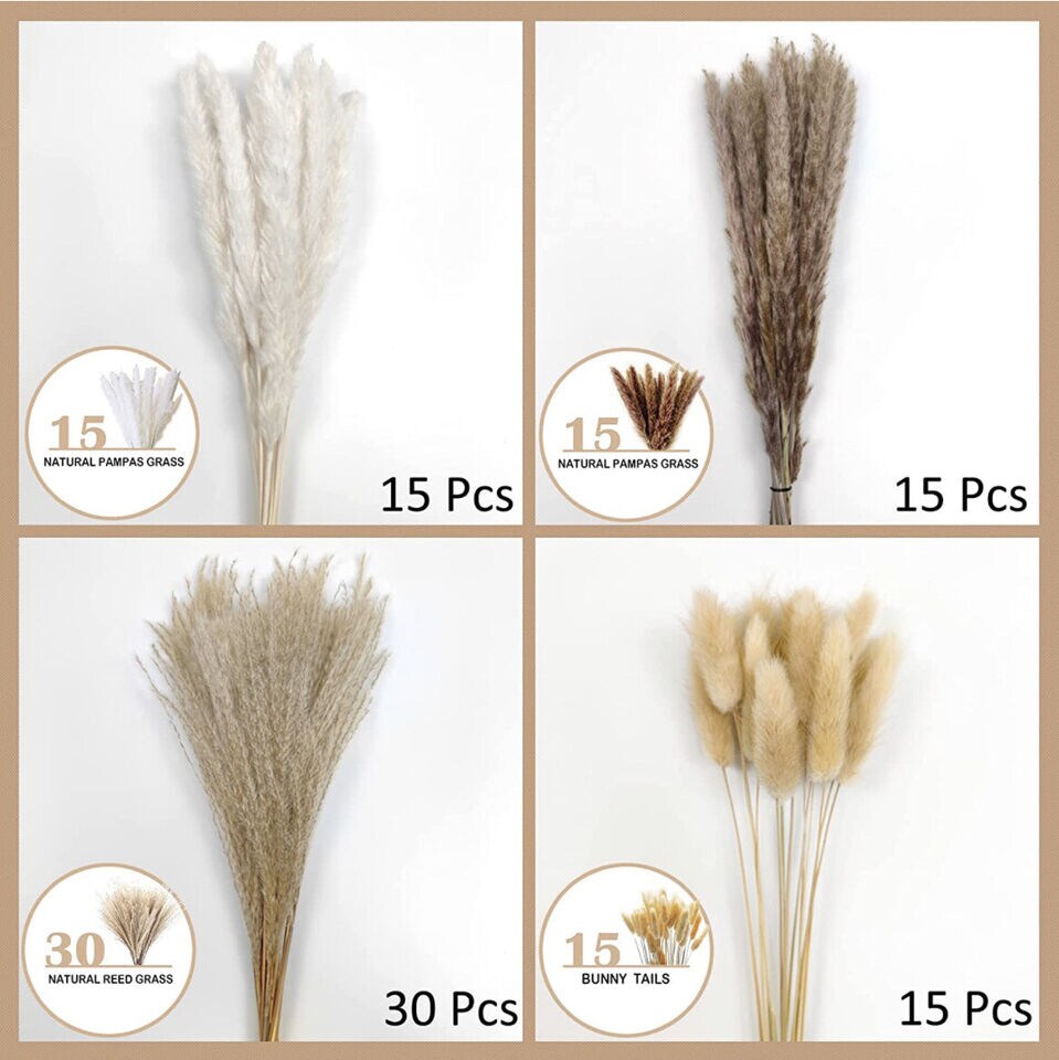 Natural Dried Reed Flowers
