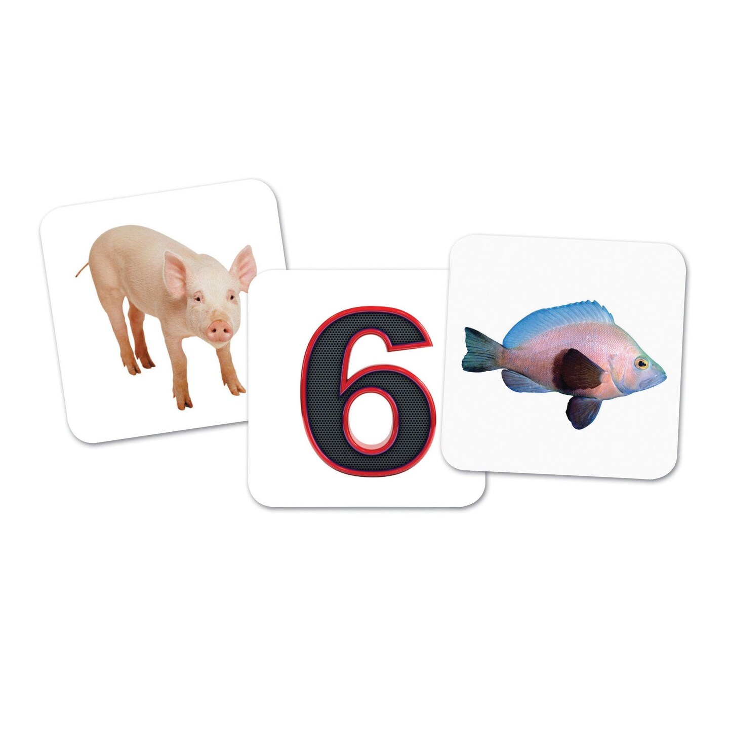 Vowel Owls&#x2122; Sorting Set