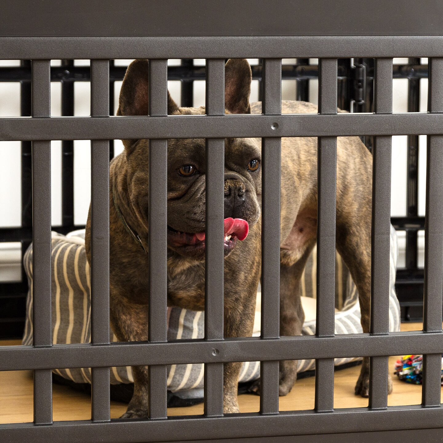 IRIS 4-8Panel 24/34&#x22;H Plastic Pet Playpen without Door