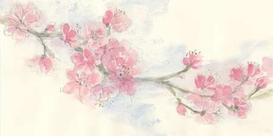 Cherry Blossom II Poster Print by Chris Paschke - Item # VARPDX21886