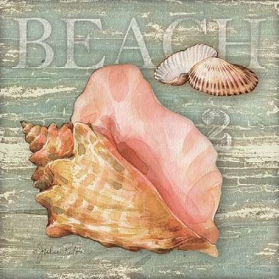 Beach Shells Conch Poster Print by Julie Paton - Item # VARPDXPAT116