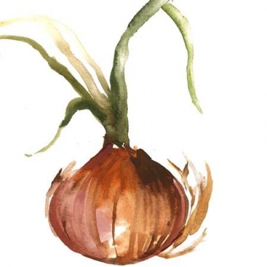 Onion Poster Print by Asia Jensen