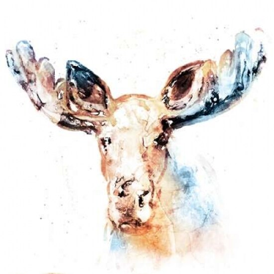 Watercolour Moose Poster Print by Edward Selkirk