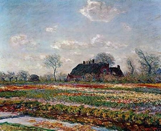 Tulip Field Sassenheim Poster Print by Vincent Van Gogh - Item # VARPDX374574