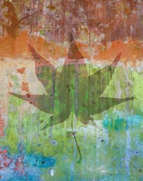 Maple Leaf I Poster Print by Kathy Mahan - Item # VARPDXPSMHN213