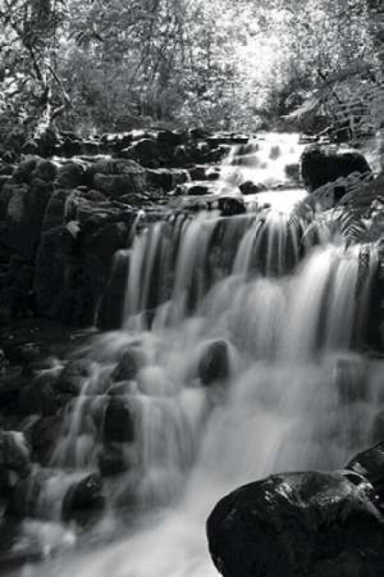 BW Falls in the Forest III Poster Print by Brian Moore - Item # VARPDXPSMRE163