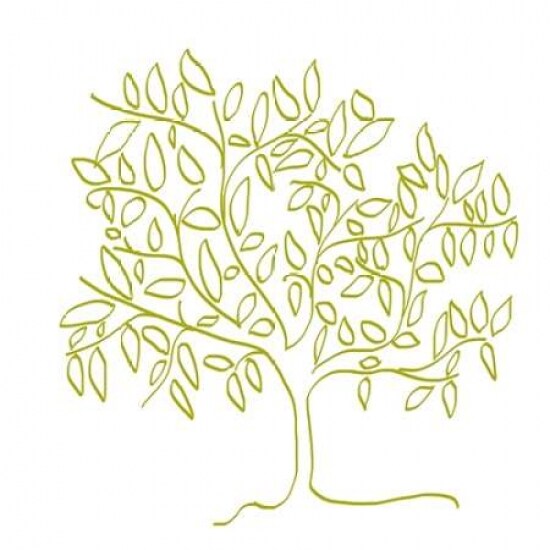 A Citron Tree Poster Print by Jan Weiss - Item # VARPDXW717D