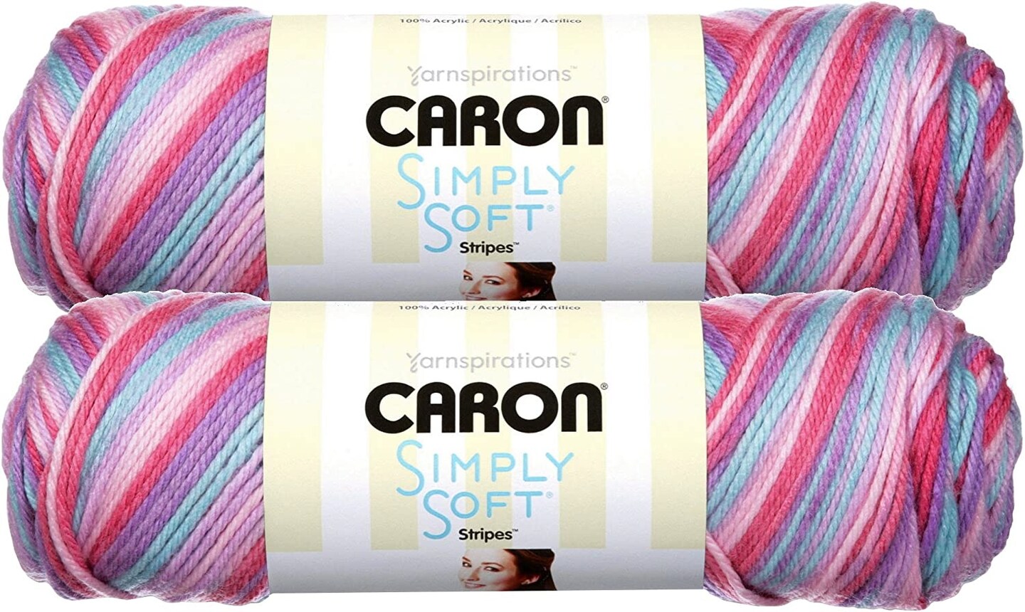 (Pack of 2) Caron Simply Soft Stripes Yarn-Times Square