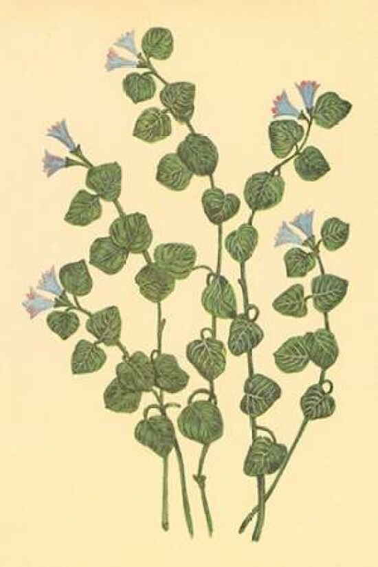 Patridge Berry Poster Print by PI Collection
