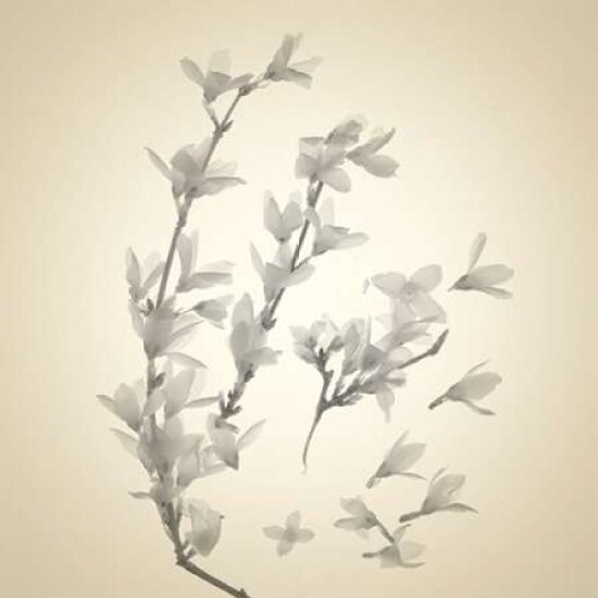 Sway Poster Print by Judy Stalus