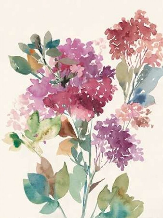 Sweet Hydrangea II Poster Print by Asia Jensen