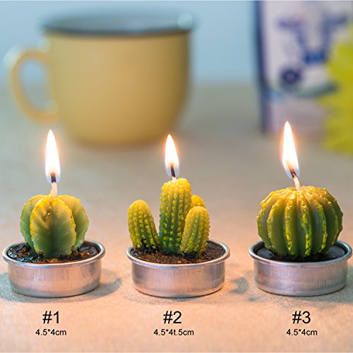 12 Pieces Cactus Tealight Candles,Handmade Delicate Succulent Cactus Candles for Party Wedding Spa Home Decoration Gifts