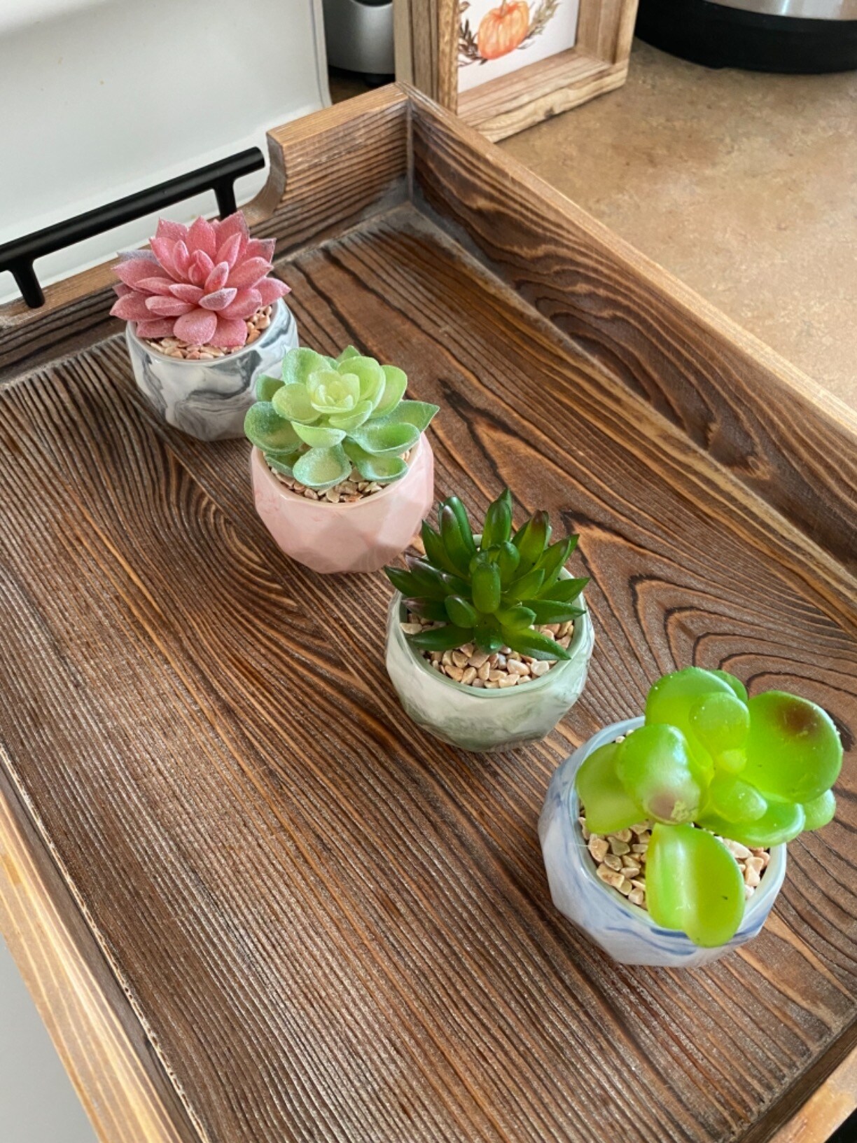 4pcs Fake Succulents Faux Succulent Plants in Pots Mini Potted Succulent Plants for Home Office Desk Decor