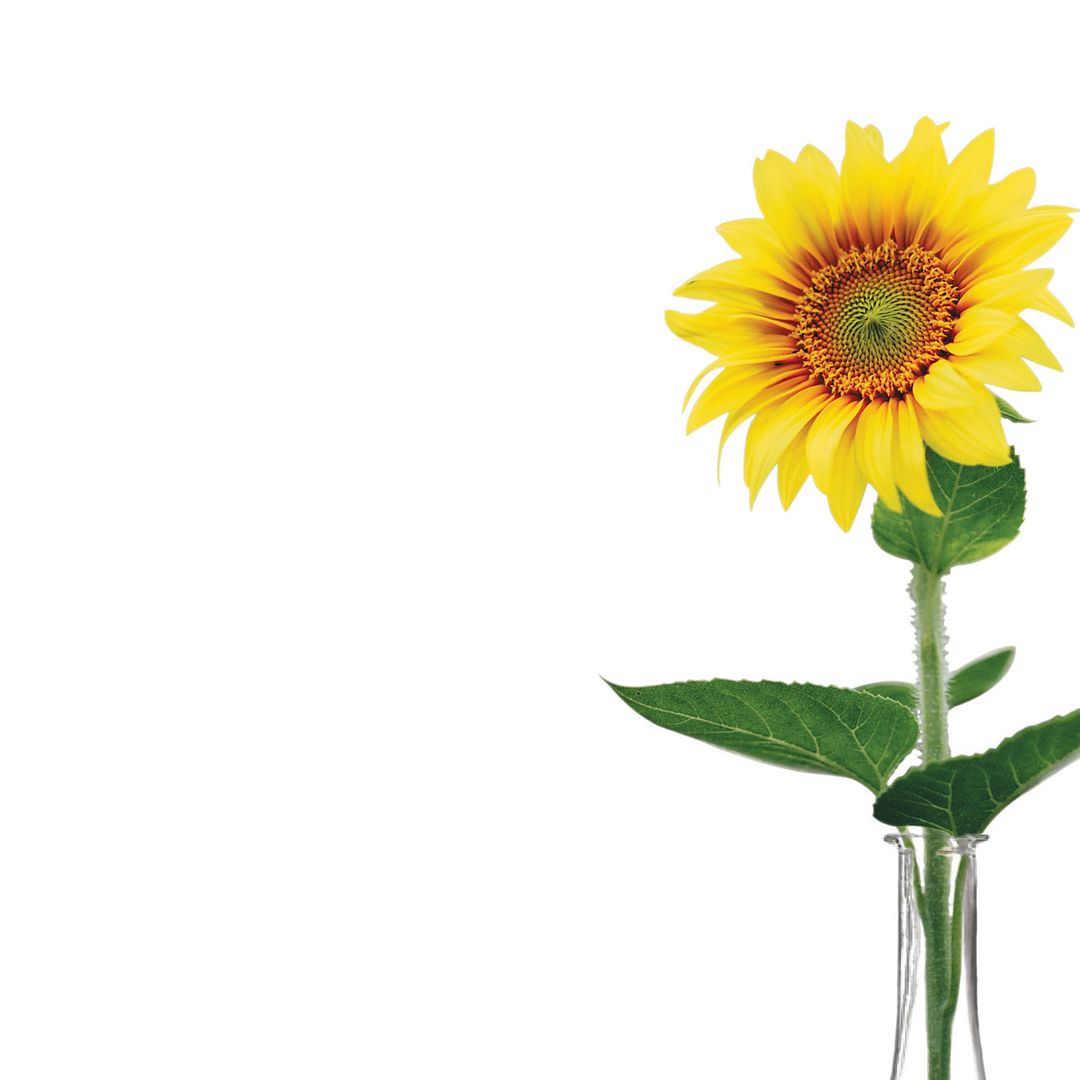 Great Papers! Sunflowers Stationery Letterhead, Invitations and Announcements, Printer Friendly, 8.5&#x22;x11&#x22;, 80 Pack