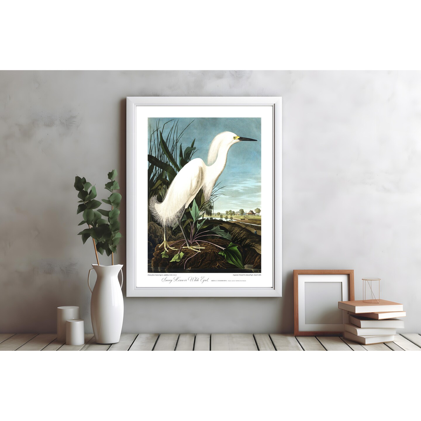 Beautifully Restored Vintage Audubon Bird Print - Unique Wall Decor for  Nature Lovers. Fine Art Print. 17x11, 24x16, 30x20 or 36x24