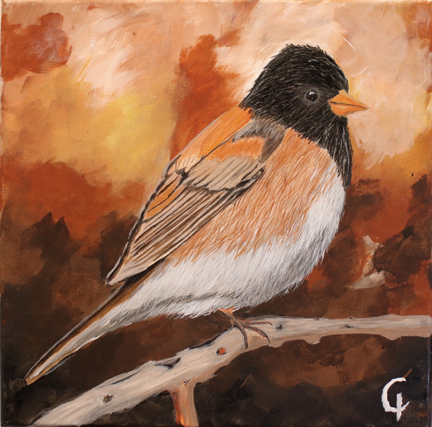 Dark Eyed Junco - Hand Painted Watercolor - Handmade - authentic Small Art