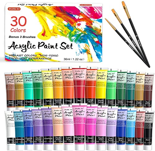 Shuttle Art Acrylic Paint Set, 30 Colors Acrylic Paint in Tubes (36ml) with 3 Brushes, Artist Grade Paint, Rich Pigments, Non-Toxic for Artists, Beginners and Kids on Rocks Crafts Canvas Wood Fabric