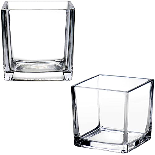 plant Square Glass Vase Clear Flower Decorative Centerpiece for Home or Wedding, Candle Holder, 5 x 5, Set of 2
