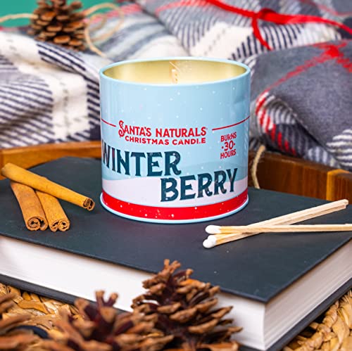 Winterberry Christmas Candle | Warm Cider Fragrance | Notes of Cinnamon, Orange, and Clove | Sustainably Sourced Soy and Beeswax | 30 Hour Burn Time | 9oz | 2 Pack