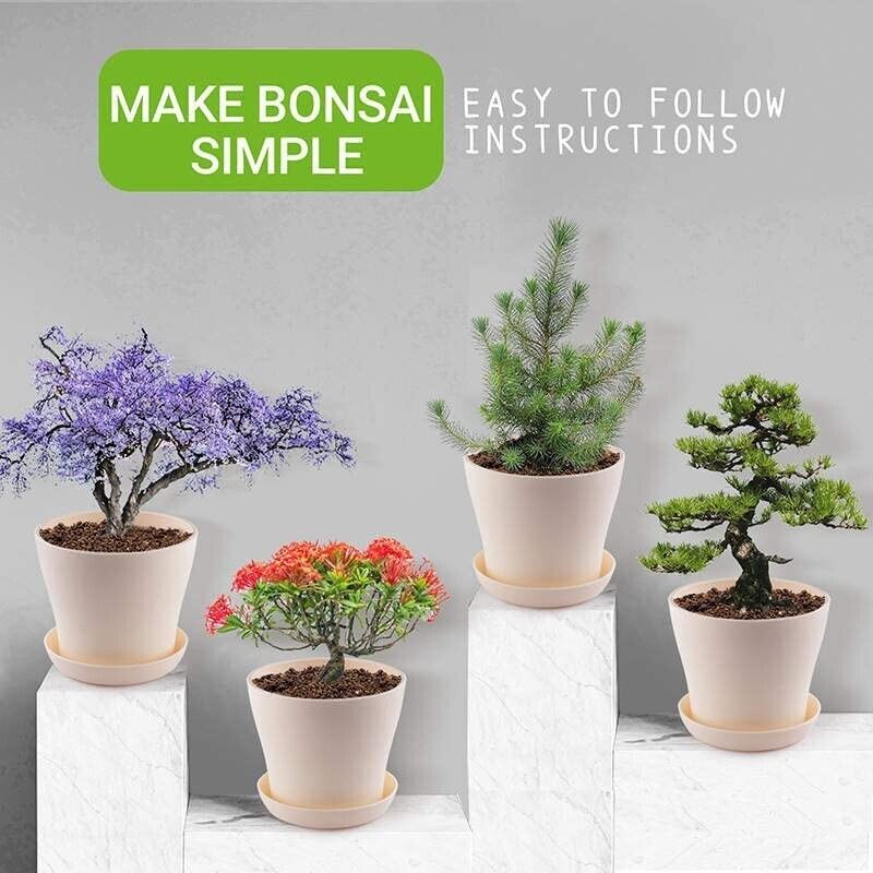 Bonsai Tree Kit, bonsai Starter Kit,Bonsai Tree Starter Kit,mini bonsai  tree kit, Christmas Gift, New Year's Gift, Student Gift