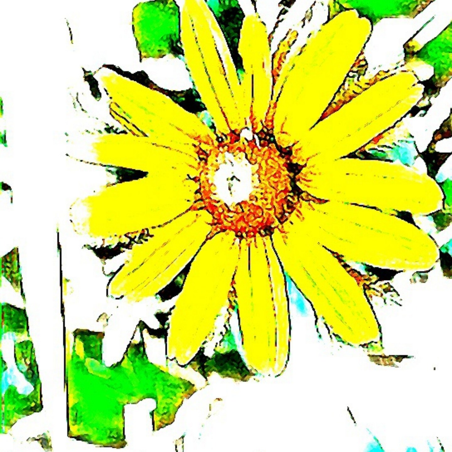 storefront banner