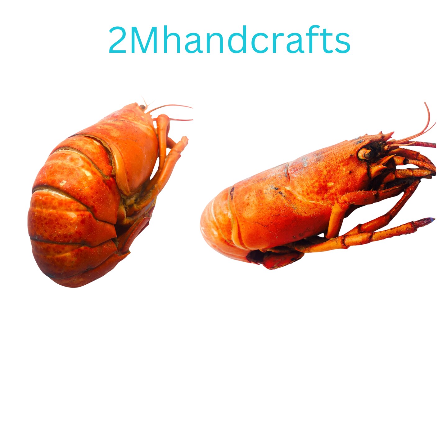 1pc Realistic Cooked Lobster Body Silicone Mold| Food Shape Silicone Mold| Soap| Candle | Mold for Wax| Mold for Resin| Not Food Grade