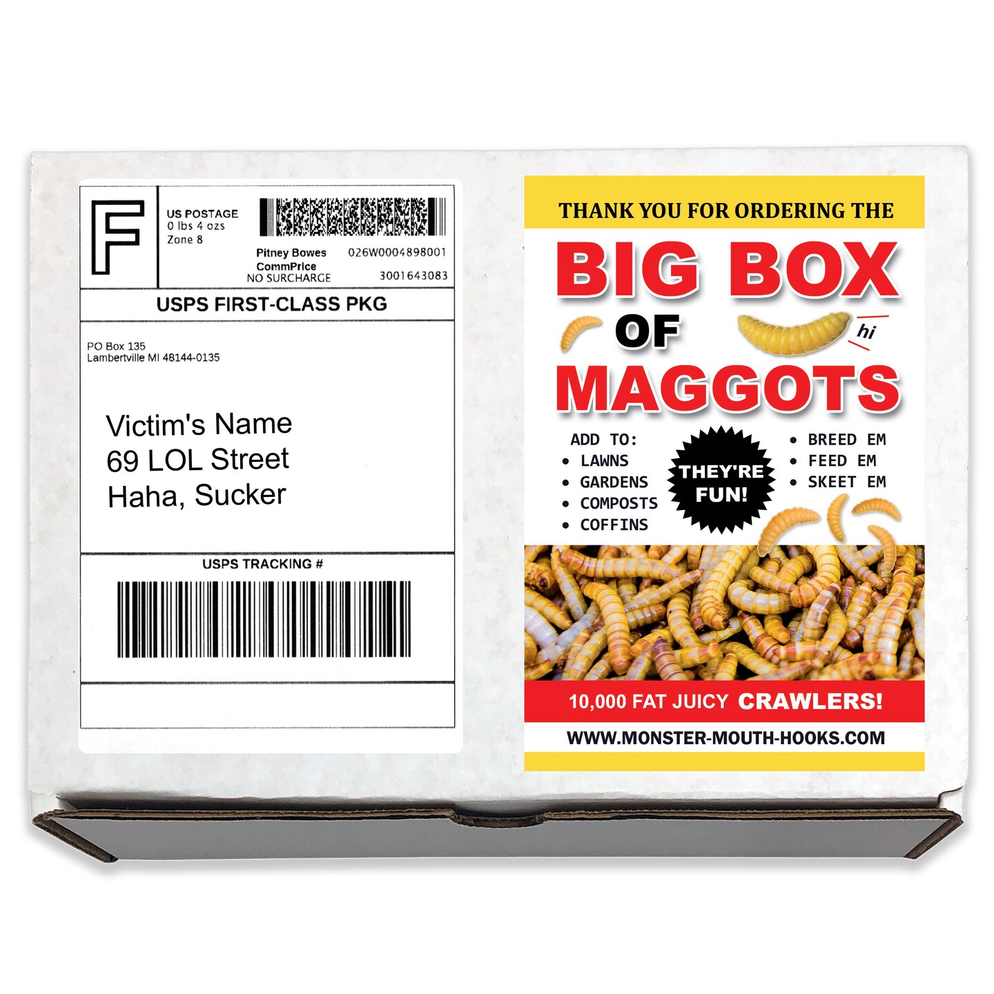 Prank Mail - fake fun Big Box of Maggots embarrassing prank box gets mailed  directly to your victims anonymously!