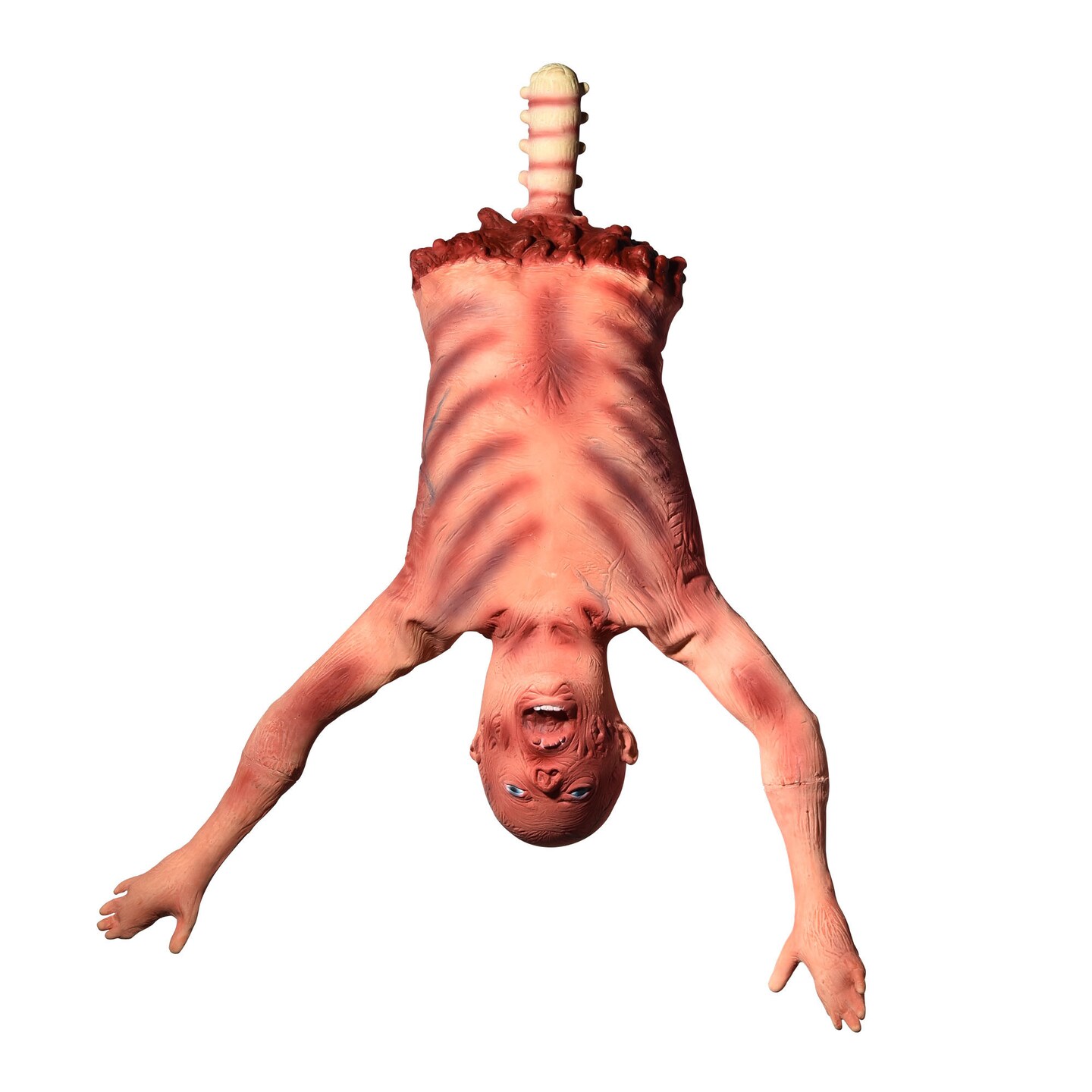 Halloween Prop - Half Body Skinned Hanging Corpse