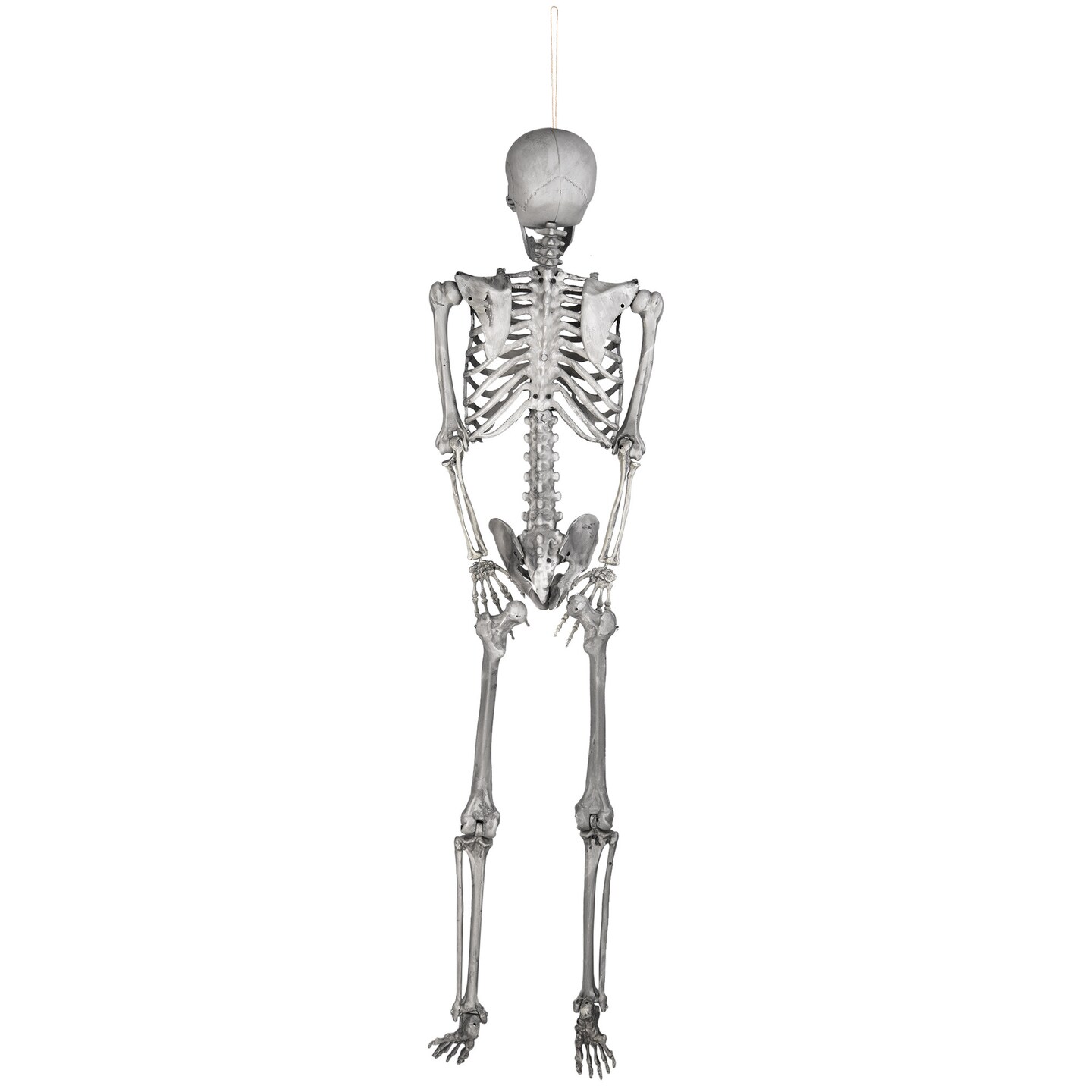 Halloween Full Body Skeleton