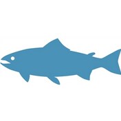Fish Trout Vinyl Decal Sticker MakerPlace by Michaels